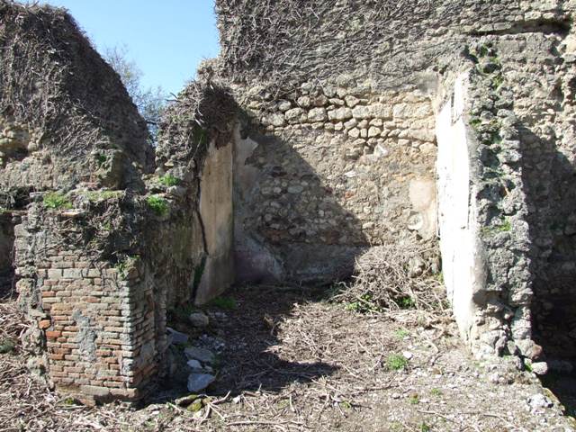 VIII.3.4 Pompeii.  March 2009.  Room 16. Oecus. South wall and south west corner.