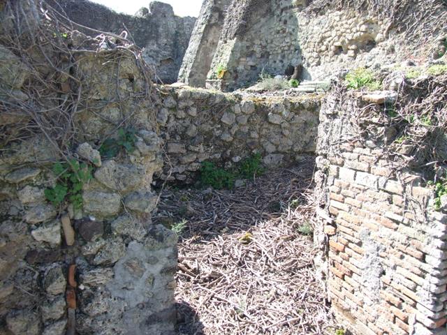VIII.3.4 Pompeii.  March 2009. Room 18.  Rear garden area.  Looking south.