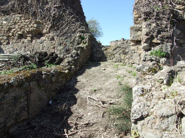 VIII.3.4 Pompeii.  March 2009.   Room 18.  Rear garden area.  Looking East.