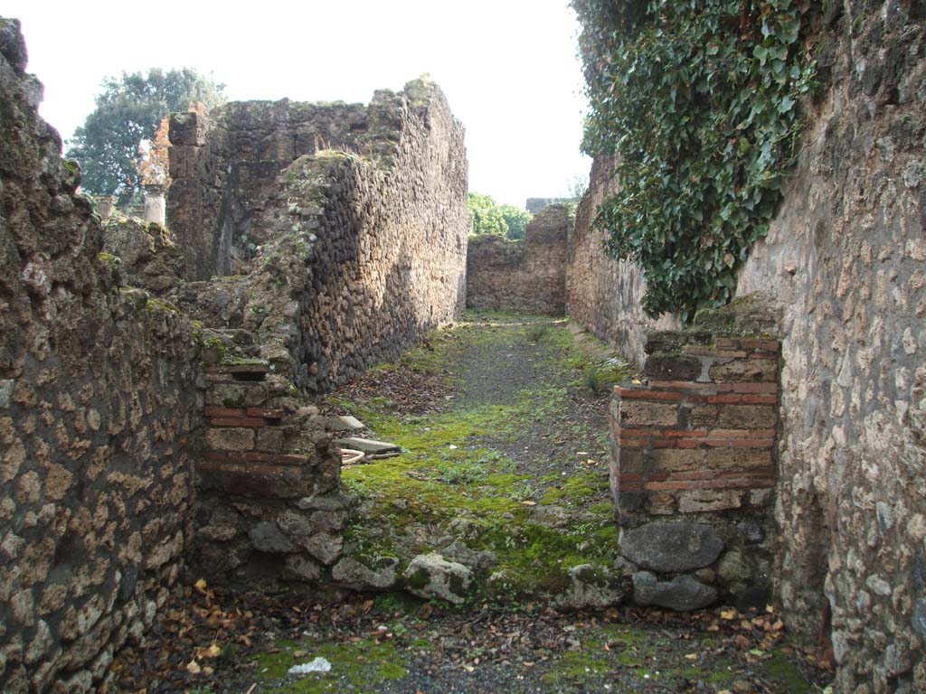 VIII.3.6 Pompeii. December 2004. Rear of shop, and corridor.