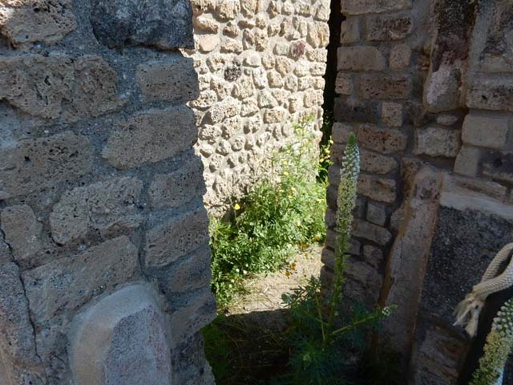 VIII.3.14 Pompeii. May 2016. Doorway to oecus fenestratum. Photo courtesy of Buzz Ferebee.
