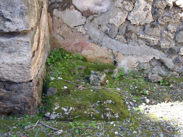 VIII.5.9 Pompeii.  March 2009. Room 22, West wall with Niche.