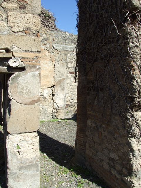 VIII.5.9 Pompeii.  March 2009.  North Portico columns.  Looking east.
