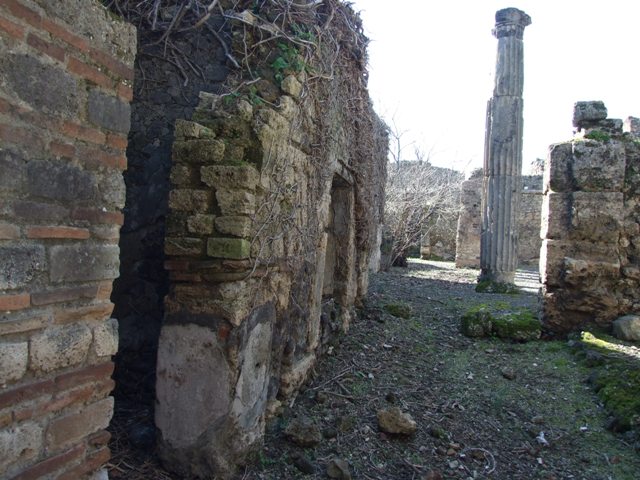 VIII.5.14 December 2006. Looking west from entrance.