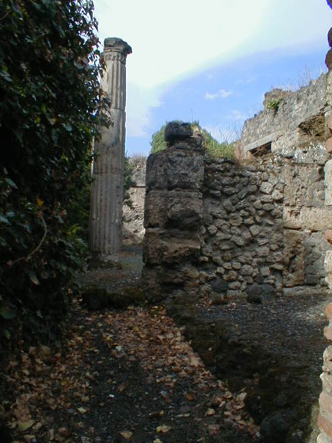 VIII.5.14 December 2006. Looking west from entrance.