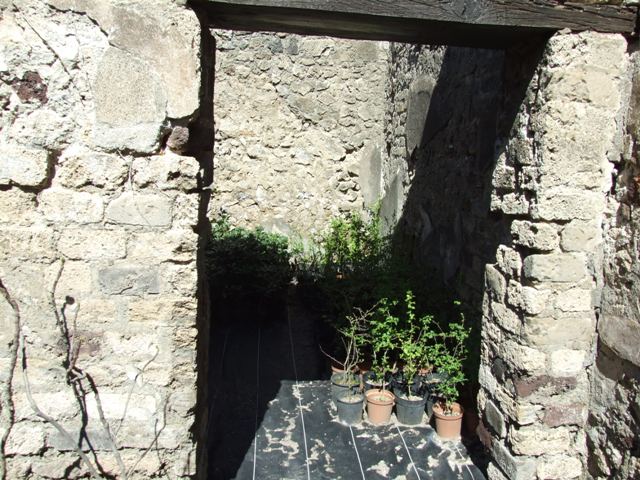 VIII.5.16 Pompeii. March 2009. Room 11. Small garden area, Looking west to south west corner, and west wall.