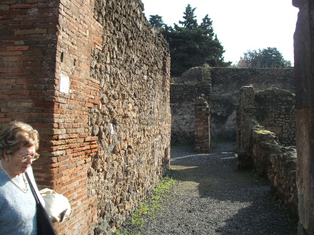 VIII.5.24 Pompeii. May 2010. Entrance corridor, east wall.