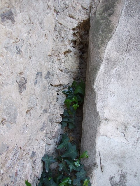 VIII.5.28 Pompeii.  March 2009.  Room 10, Peristyle garden area, looking east along North Portico.