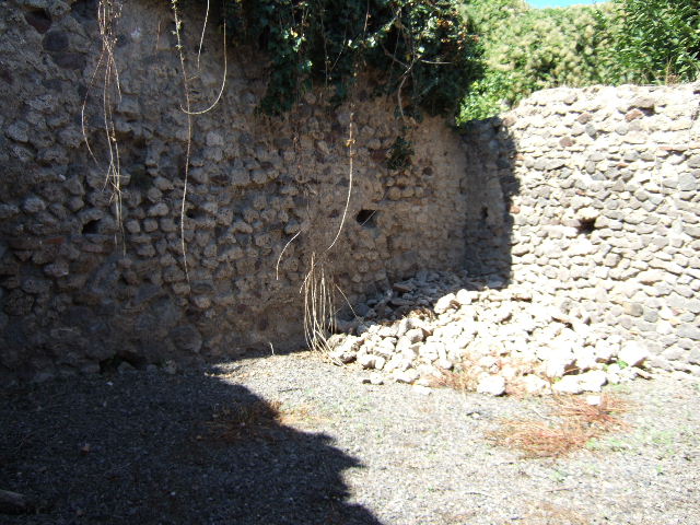 VIII.5.39 Pompeii. March 2009.  Room 8.  East wall.