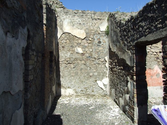 VIII.5.39 Pompeii. March 2009.  Room 8, Painted plant decoration.