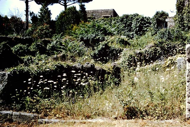 VIII.7.5 Pompeii. September 2010. Photo courtesy of Drew Baker.
Doorway with step, looking west into the “rustic” room of VIII.7.6, from rear room of workshop. (This doorway does not appear on the Eschebach or PPP plans).

