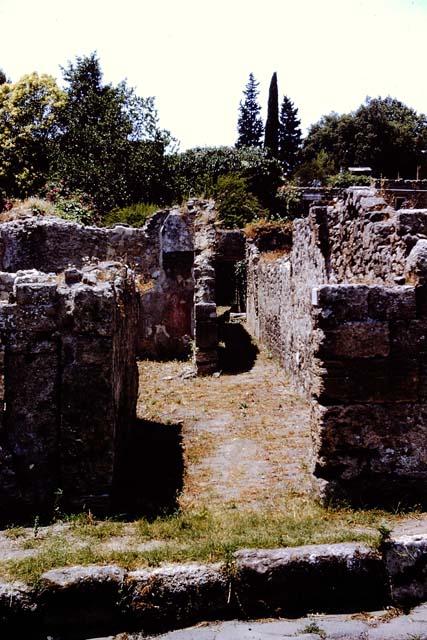 VIII.7.6 Pompeii. September 2010. Doorway to tablinum, looking west towards rear. Photo courtesy of Drew Baker.