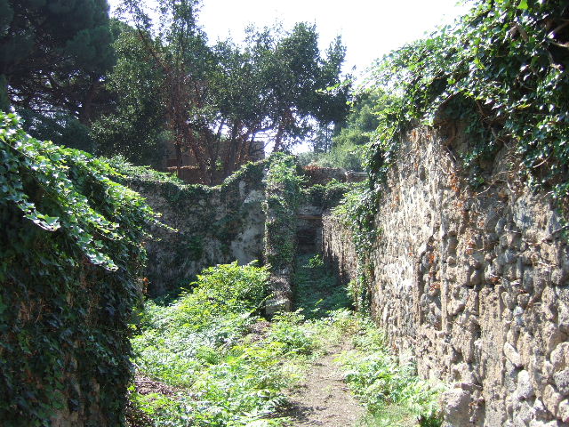 VIII.7.6 Pompeii. September 2010. Looking east from rear of “rustic” room, looking towards workshop at VIII.7.5 and Via Stabiana. Photo courtesy of Drew Baker.