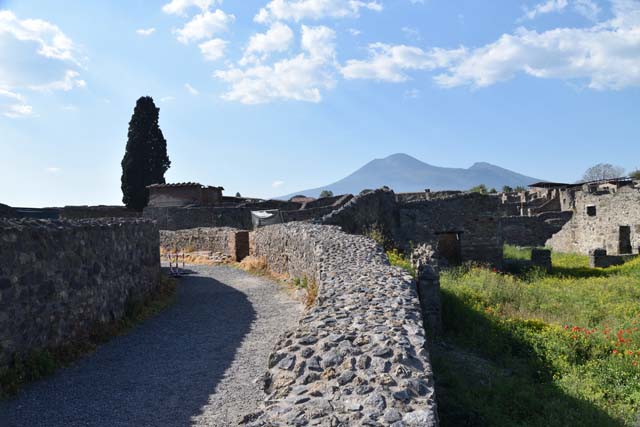 VIII.7.26 Pompeii. September 2010. West wall of garden area. Photo courtesy of Drew Baker. According to Fiorelli, iIn the north-west corner of the garden area, (on the right hand side of the photo) would have been a doorway. This doorway lead to the kitchen with an oven above the hearth, and perhaps another small room, now fallen. See Pappalardo, U., 2001. La Descrizione di Pompei per Giuseppe Fiorelli (1875). Napoli: Massa Editore. (p.134)