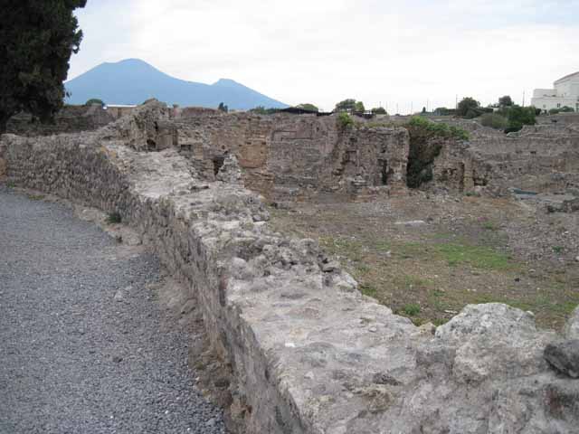 VIII.7.26 Pompeii. September 2010. West wall of garden. Photo courtesy of Drew Baker.
