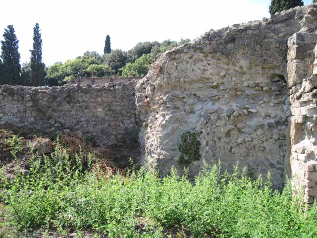VIII.7.26 Pompeii. September 2010. Looking north along east wall of garden towards triclinium and atrium. Photo courtesy of Drew Baker.
