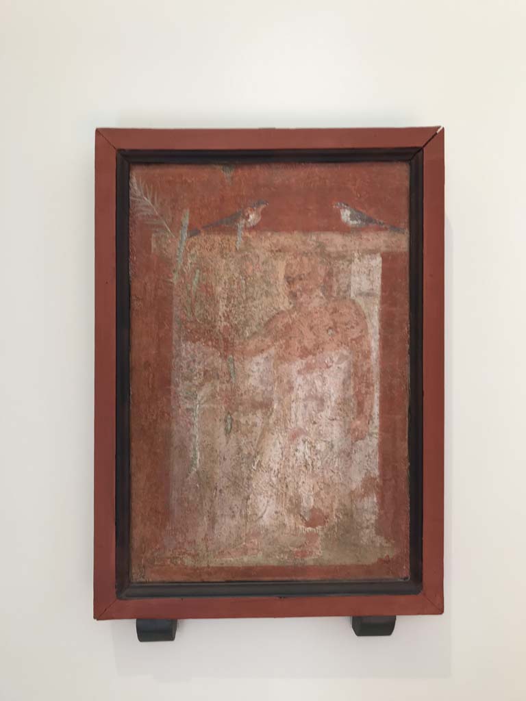 VIII.7.28 Pompeii. April 2019. Painting of priest from east portico.
Now in Naples Archaeological Museum. Inventory number 8921. Photo courtesy of Rick Bauer.
