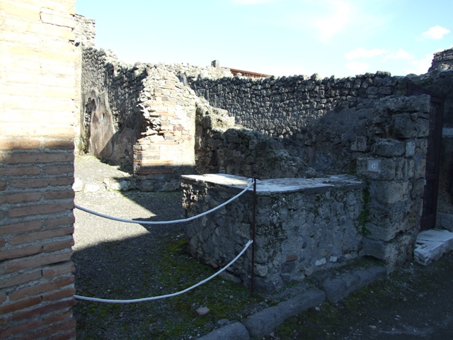 IX.1.6 Pompeii. March 2009. East wall of rear room.