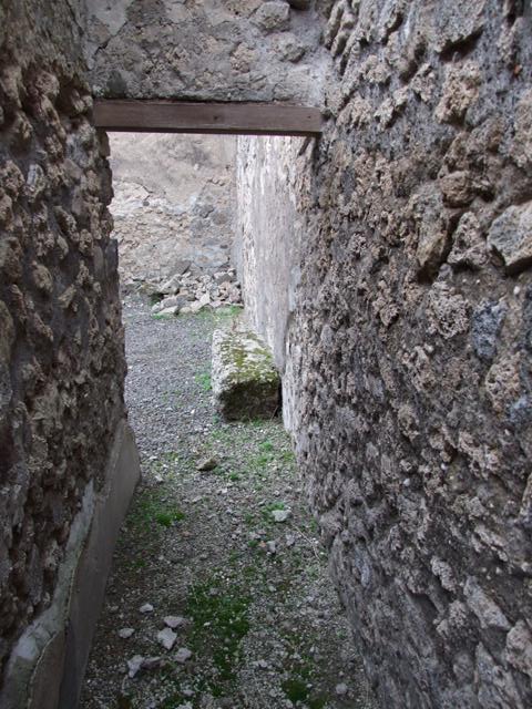 IX.1.7 Pompeii.   December 2007.  Garden area on north side of atrium, with doorways to Triclinium.
