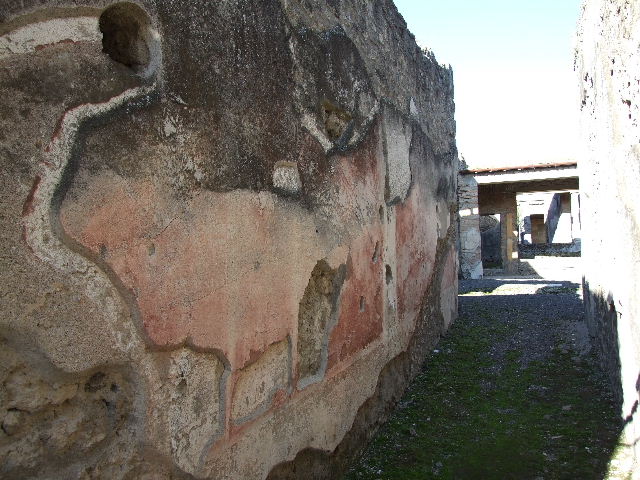 IX.1.22 Pompeii. December 2007. Room 1, atrium.  Household shrine in south-east corner with painting of a bird.
