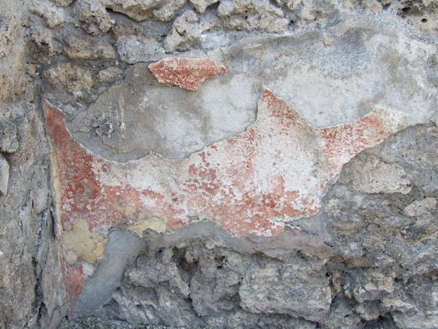 IX.2.17 Pompeii.  March 2009.  Room 7, Exedra. Small doorway in South wall, leading to Room 8, Triclinium.