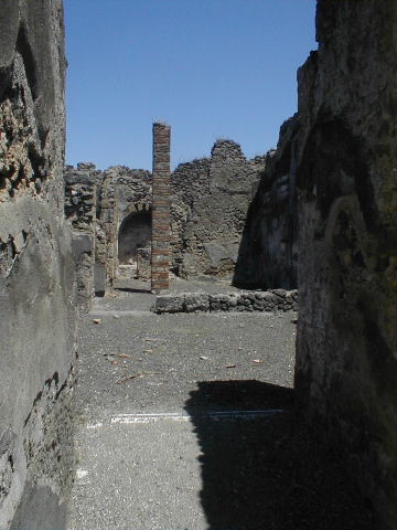 IX.3.2 Pompeii.  March 2009. Mosaic in entrance vestibule.  Looking east.

