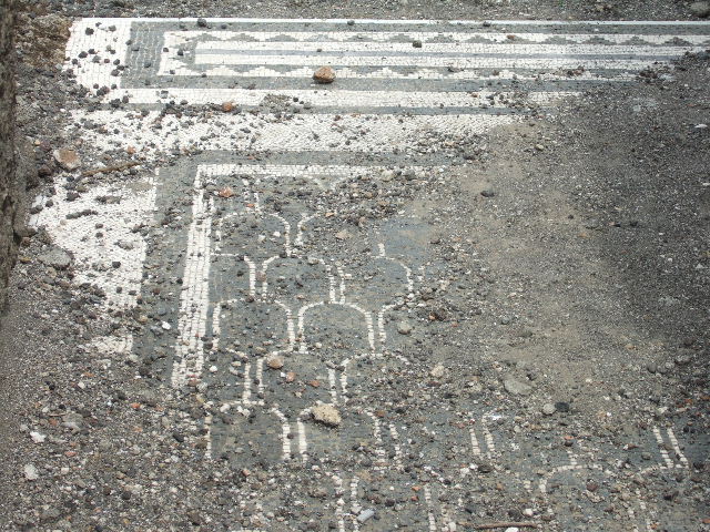 IX.3.2 Pompeii.  March 2009. Cubiculum on north side of former atrium.

