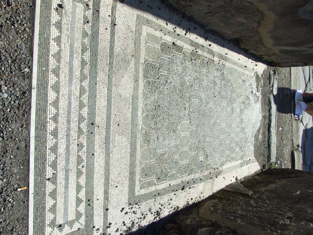 IX.3.2 Pompeii.  March 2009. Cubiculum on north side of former atrium.