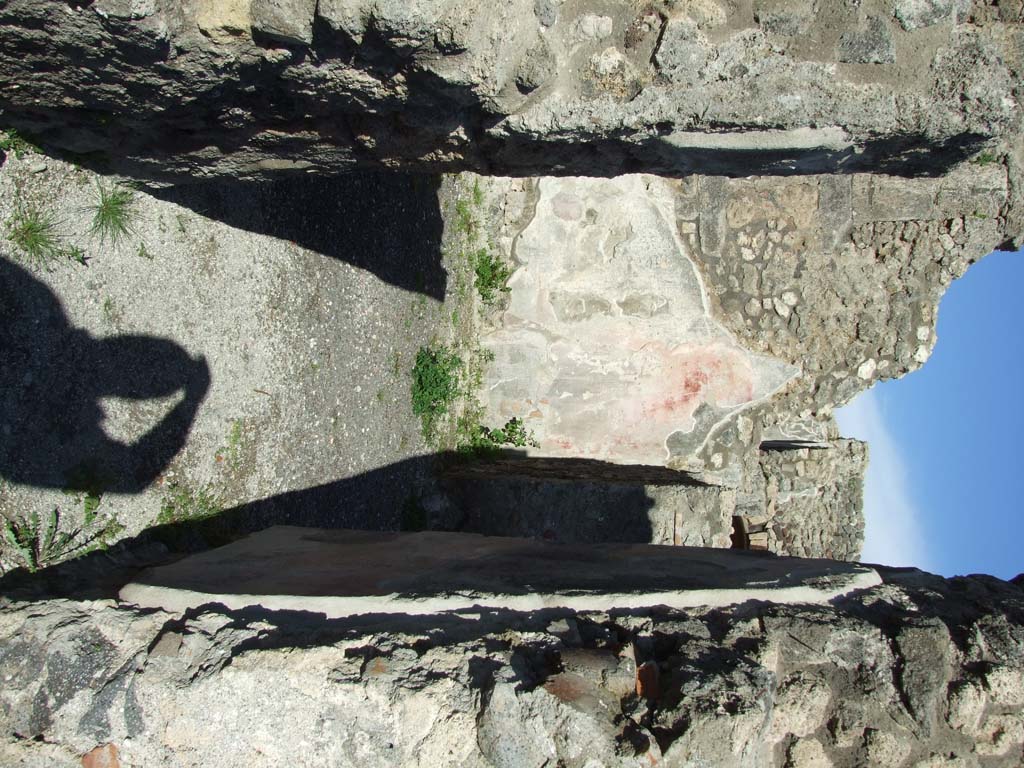 IX.3.2 Pompeii.  March 2009. Garden area.  Looking east.  The pillar originally supported a two sided portico on the north and west sides.