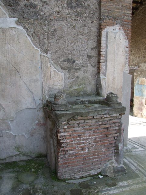 IX.3.5 Pompeii.  March 2009.  View of garden from room 18, through window.