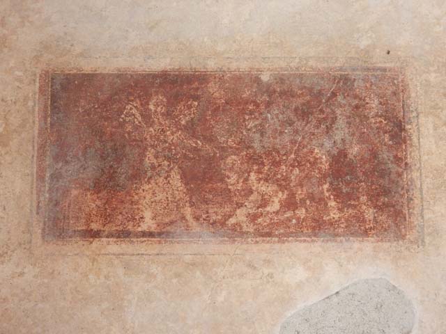 IX.3.5 Pompeii. March 2009. Room 16. South wall.