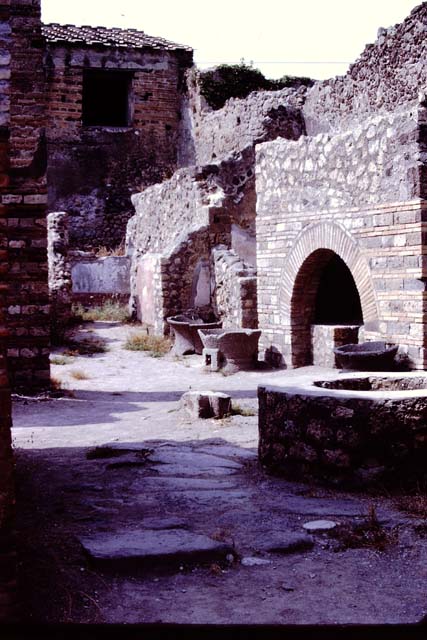 IX.3.12 Pompeii. March 2009. Niche on south wall. Detail showing painted green and brown leaves and red flowers.
