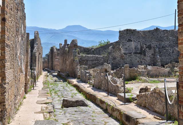 IX.3.21 Pompeii. May 2005. Looking north-west across site from Vicolo di Tesmo. According to Fiorelli, at the time of the eruption IX.3.21/22 was in use as a store of stone and brick materials from demolished houses. See Pappalardo, U., 2001. La Descrizione di Pompei per Giuseppe Fiorelli (1875). Napoli: Massa Editore. (p.147)