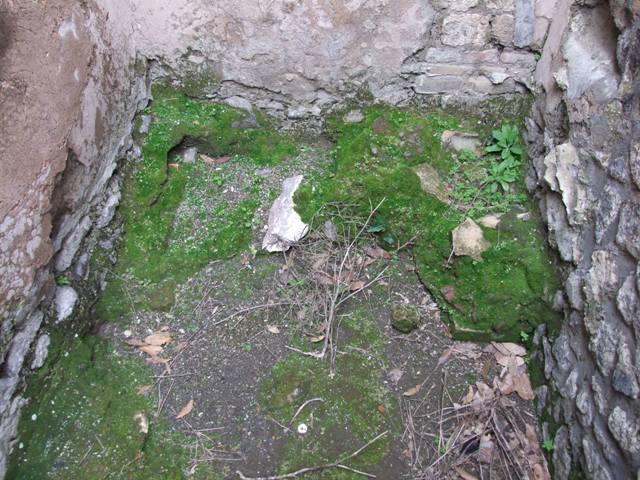 IX.8.6 Pompeii. December 2007. Room 39, south wall of outer room.