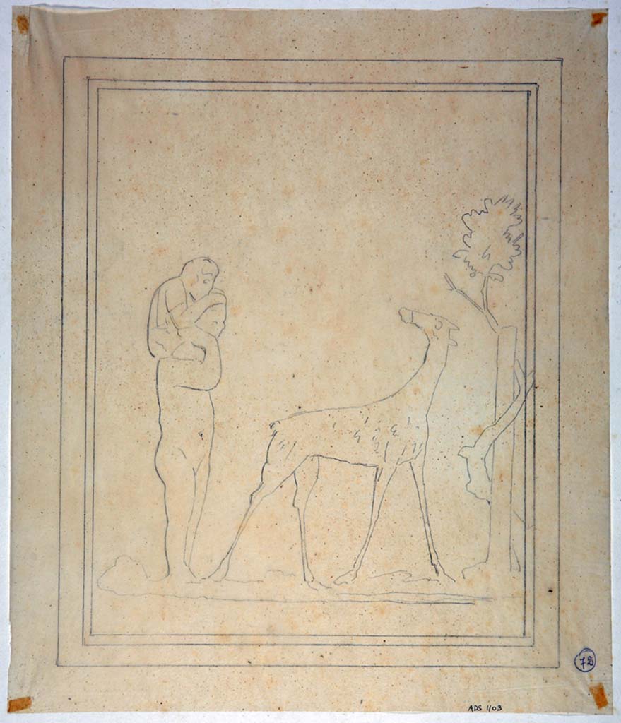 IX.8.6 Pompeii. Drawing by Geremia Discanno, of painting seen on east end of south wall of room to the left of the atrium.
The drawing shows a nude male African figure with a child on his shoulders; on the right is a giraffe that turns towards them and a tree twined round a pillar.
The painting has now faded and disappeared.
Now in Naples Archaeological Museum. Inventory number ADS 1103.
Photo  ICCD. http://www.catalogo.beniculturali.it
Utilizzabili alle condizioni della licenza Attribuzione - Non commerciale - Condividi allo stesso modo 2.5 Italia (CC BY-NC-SA 2.5 IT)
