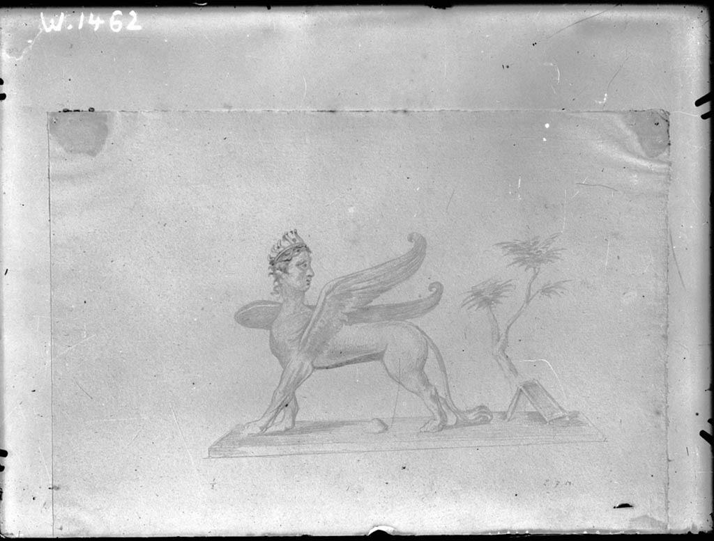 IX.8.6 Pompeii. W.1462. Drawing of sphynx with crowned head, from side panel of north wall of room 4.
Photo by Tatiana Warscher. Photo © Deutsches Archäologisches Institut, Abteilung Rom, Arkiv.
