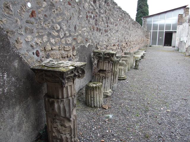 IX.8.6 Pompeii. March 2009. Room 11. North upper wall.
