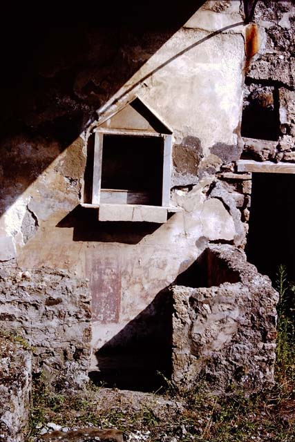 IX.8.6 Pompeii. September 2004. West wall of West Portico. Sixth panel from the north.