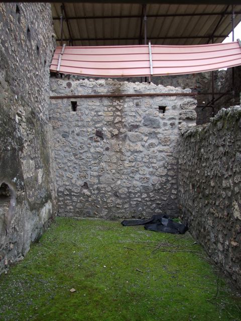 IX.8.6 Pompeii. March 2009.  Room 24.  Looking south.