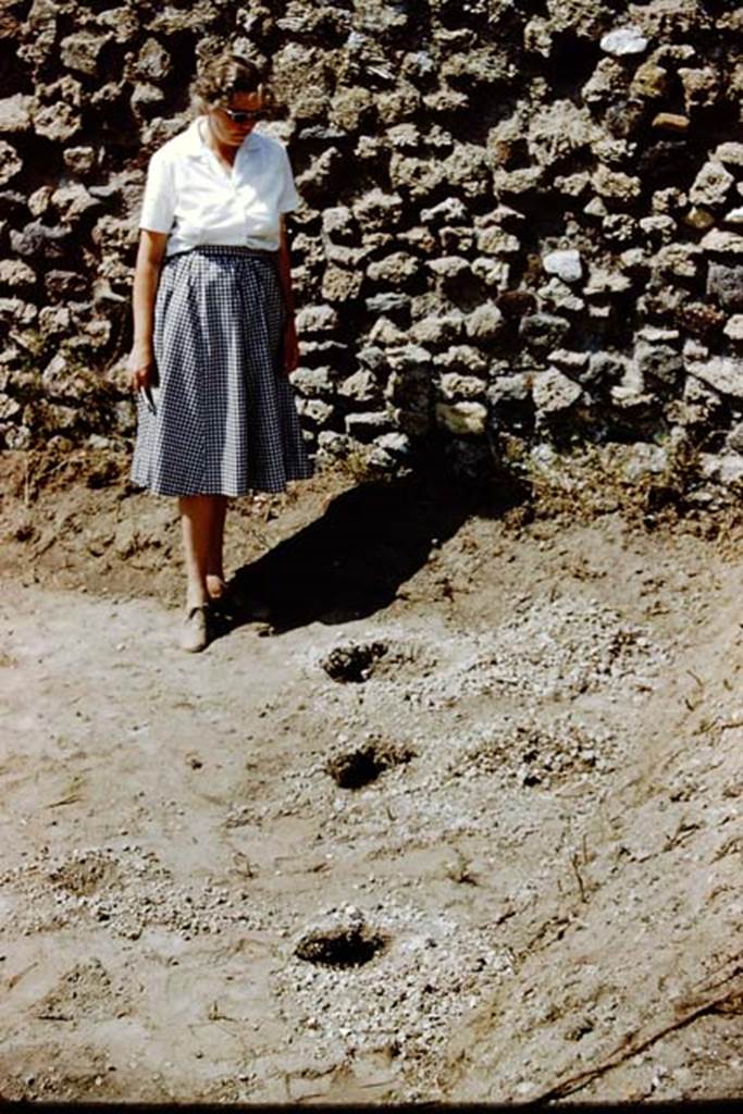 IX.9.6/10 Pompeii. 1961. Wilhelmina near west wall studying the root cavities.   Photo by Stanley A. Jashemski.
Source: The Wilhelmina and Stanley A. Jashemski archive in the University of Maryland Library, Special Collections (See collection page) and made available under the Creative Commons Attribution-Non Commercial License v.4. See Licence and use details.
J61f0820
