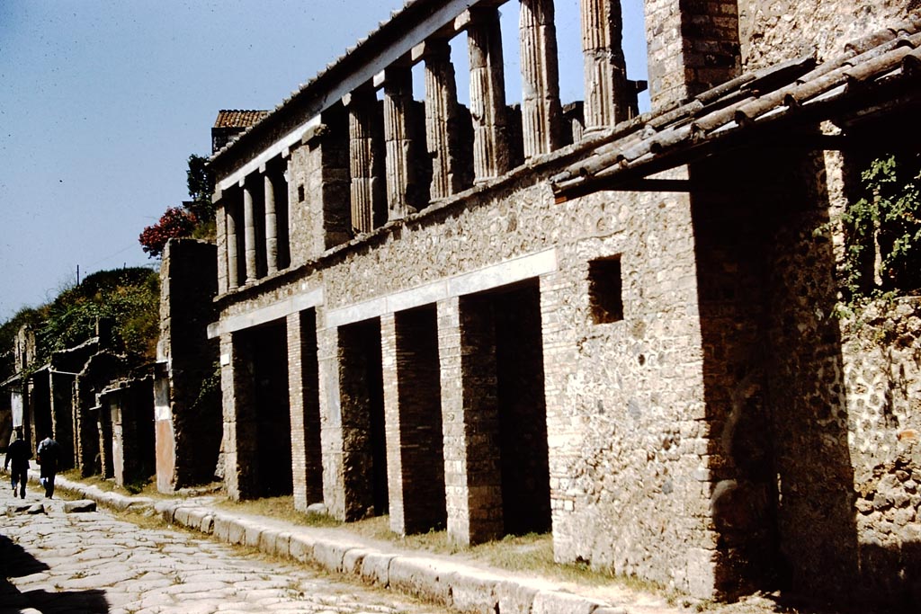 IX.12.5. Pompeii. March 2009. Looking south, from rear.
