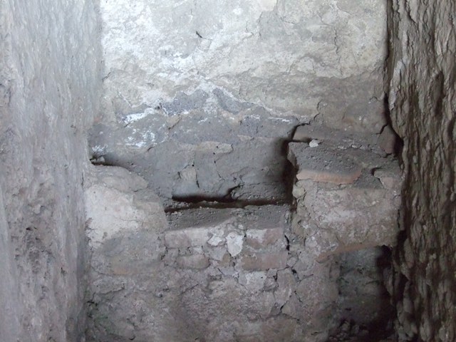 IX.12.6  Pompeii.  March 2009.  Room 6, west wall of internal garden.  
Lararium painting behind boarding, with two painted serpents below. Against the wall is the altar.

