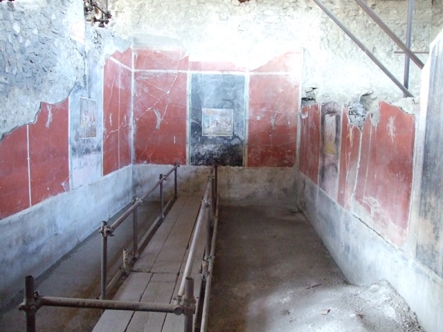 IX.12.6 Pompeii. March 2009. Room 6, south-west corner. Wall with painted plants.