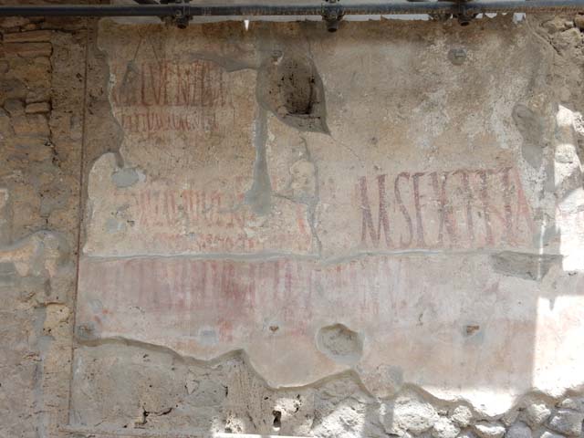 IX.12.7 Pompeii. December 2007. Graffiti between IX.12.6 and IX.12.7
Found here was CIL IV 7910, beneath that CIL IV 7912, under the last two and under CIL IV 7917 was CIL IV 7913. CIL IV 7910, 7912 and 7917 are partly conserved and visible. See Varone, A. and Stefani, G., 2009. Titulorum Pictorum Pompeianorum, Rome: L’erma di Bretschneider (p. 451)
According to Epigraphik-Datenbank Clauss/Slaby (See www.manfredclauss.de), these read as -
L(ucium)  Popidium  Iuvenem 
aed(ilem)  Crescens  scio  te  cupere       [CIL IV 7910]
Ti(berium)  Claudium  Claudian[um         [CIL IV 7912]
M(arcum)  Sextilium  aed(ilem)  o(ro)  v(os)  f(aciatis)  d(ignum)  r(ei)  p(ublicae)        [CIL IV 7917]
C<u=I>spium  [Pa]nsam  IIvir(um)  v(iis)  a(edibus)  s(acris)  p(ublicis)  v(irum)  b(onum)  o(ro)  v(os)  f(aciatis)  d(ignum)  r(ei)  p(ublicae)     [CIL IV 7913]
