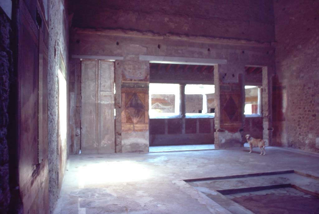 Villa of Mysteries, Pompeii. September 2015. Body-cast in the north-east corner of the atrium. This is the same one as we show in room 32.

 
