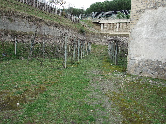 Finds from Villa Regina Boscoreale.  Now in Boscoreale Antiquarium.
