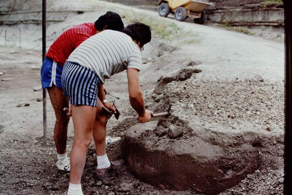 Villa Regina, Boscoreale. 1983. Discovering and excavating the well.  
Source: The Wilhelmina and Stanley A. Jashemski archive in the University of Maryland Library, Special Collections (See collection page) and made available under the Creative Commons Attribution-Non Commercial License v.4. See Licence and use details. J80f0620
