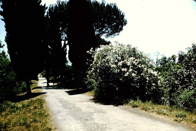 Pompeii station, May 2010. Looking south from platform 1, towards Castellammare and Sorrento. The platform is entered from the far side of the entrance hall of the station.
