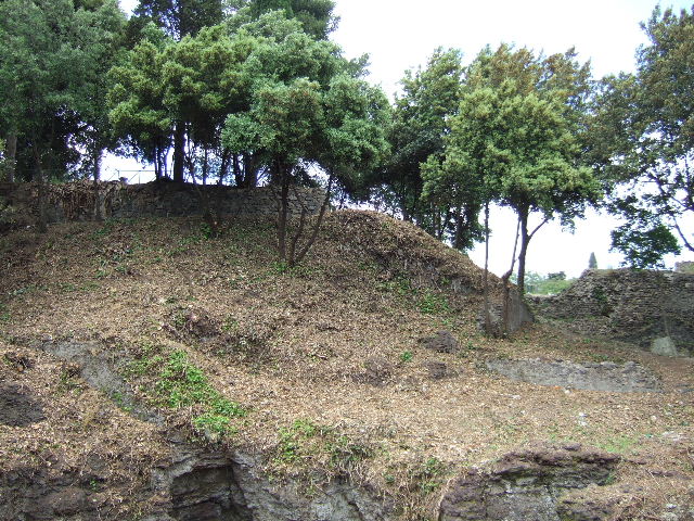 Corner of Gladiators Barracks and possible site of Tower 1