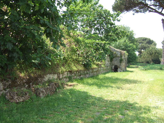 Tower VII